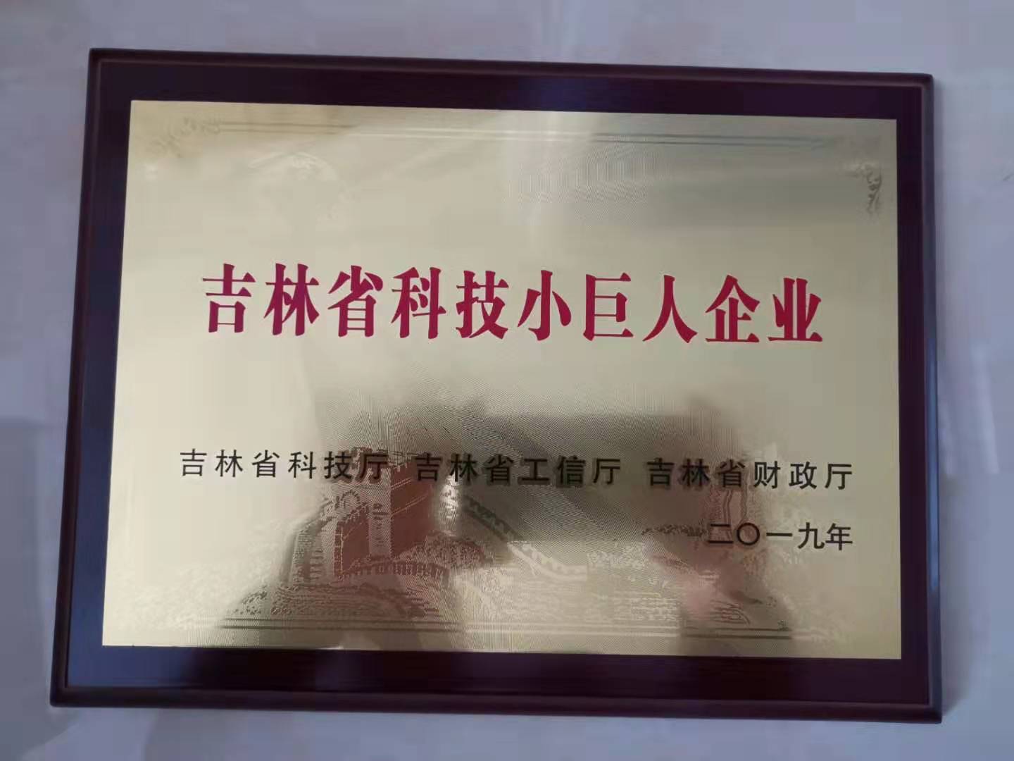 吉林省科技小巨人企业
